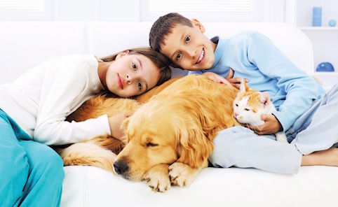 Mang vật nuôi của bạn theo khi định cư Síp